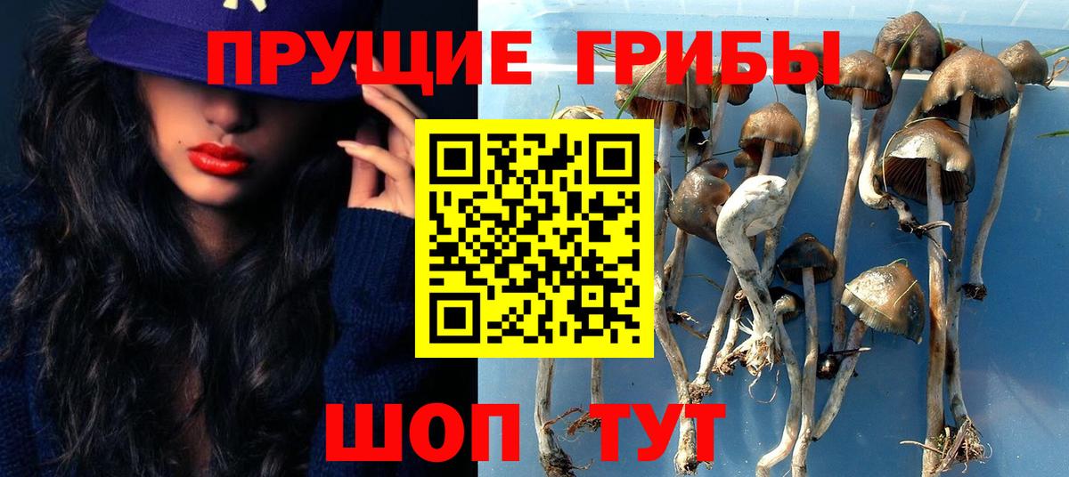 Галлюциногенные грибы Psilocybe  Вход с VPN  Орехово-Зуево 